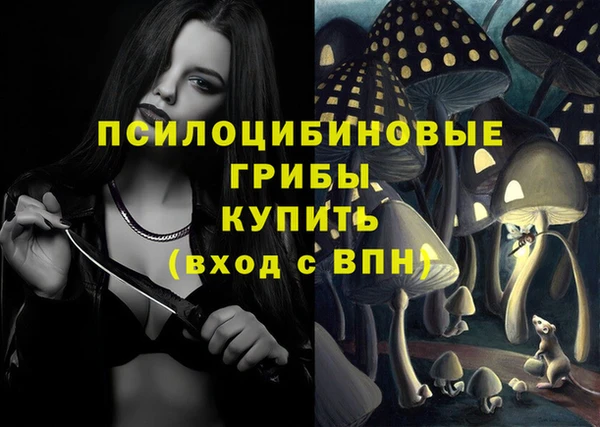 спиды Заводоуковск