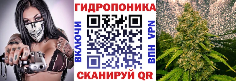хочу наркоту  Советск  Бошки марихуана гибрид 